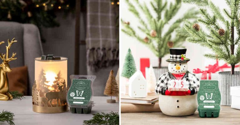 Buy Scentsy Gifts In Time for Christmas in Santa Clarita CA