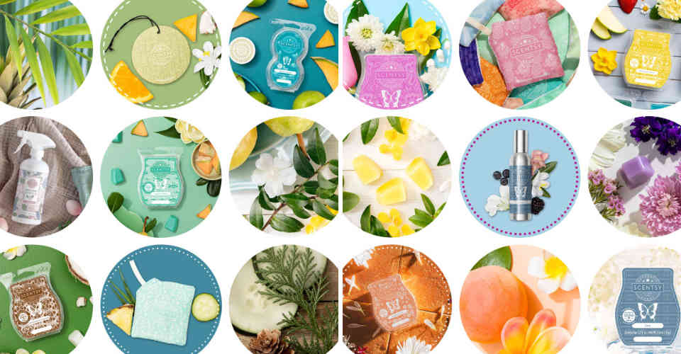 Scentsy Fragrance Families