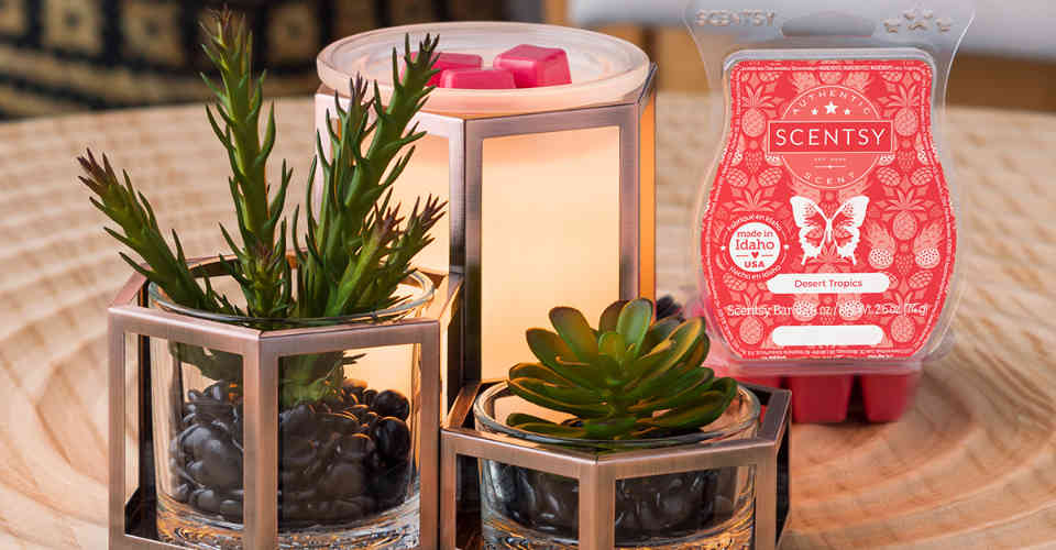 Scentsy Warmers and Fragrances in Summer 2022