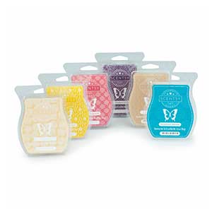 buy six scentsy bars for 25 dollars