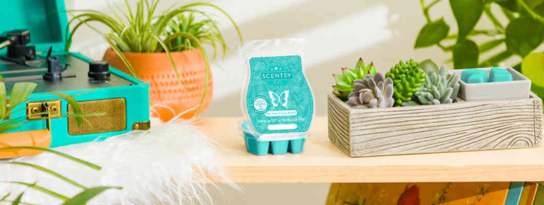 Lovely Scentsy Element Warmer from April 2021