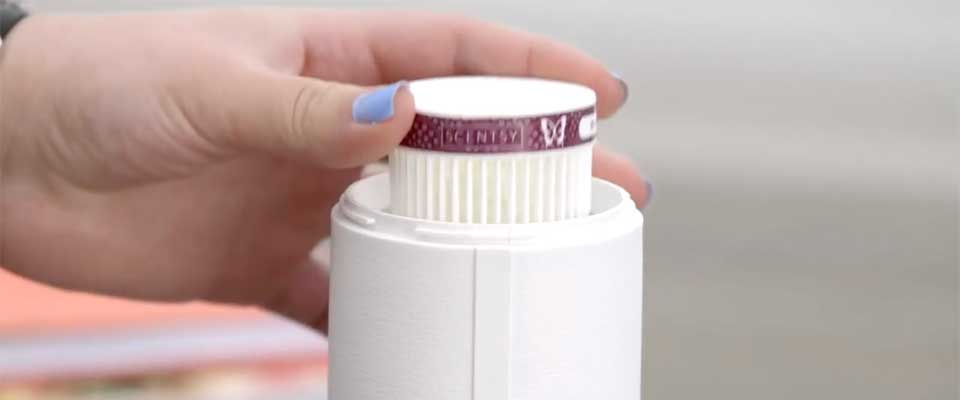 Person Placing Pod into Scentsy Battery Warmer