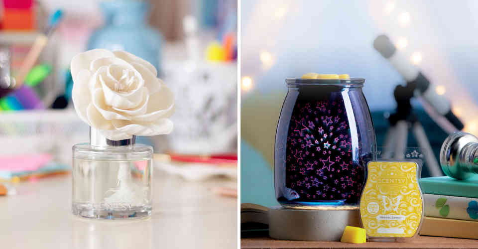 Scentsy Fragrance Flower and Traditional Warmer