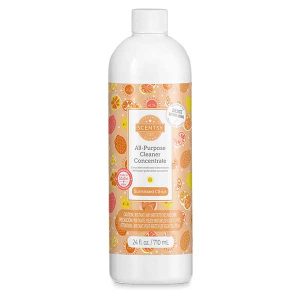 Sunkissed Citrus All Purpose Cleaner by Scentsy