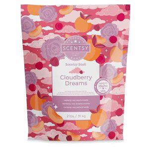 Package of Cloudberry Dreams Scentsy Soak