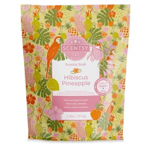 Package of Hibiscus Pineapple Scentsy Soak