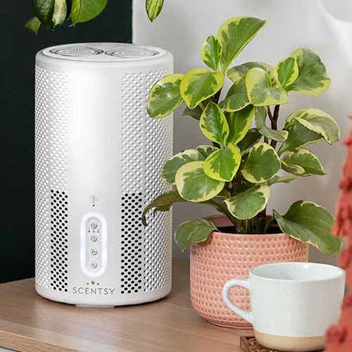 Scented Air Purifier By Scentsy