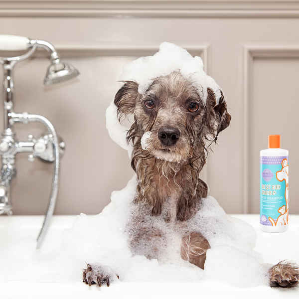 Scentsy Scented Pet Shampoo