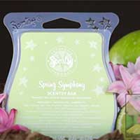 spring symphony scentsy bar